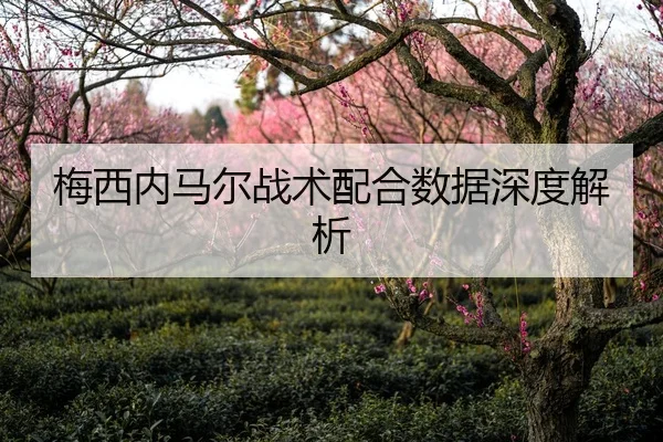梅西内马尔战术配合数据深度解析