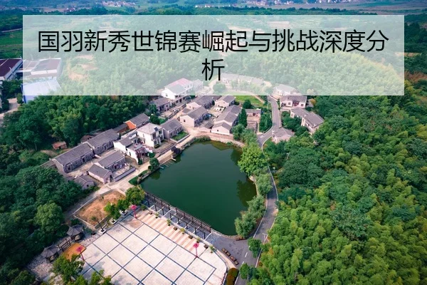 guo-yu-xin-xiu-shi-jin-sai-jue-qi-yu-tiao-zhan-shen-du-fen-xi-2-763.jpg