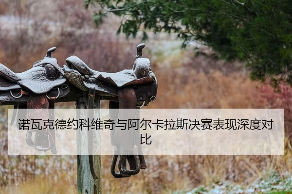 诺瓦克德约科维奇与阿尔卡拉斯决赛表现深度对比