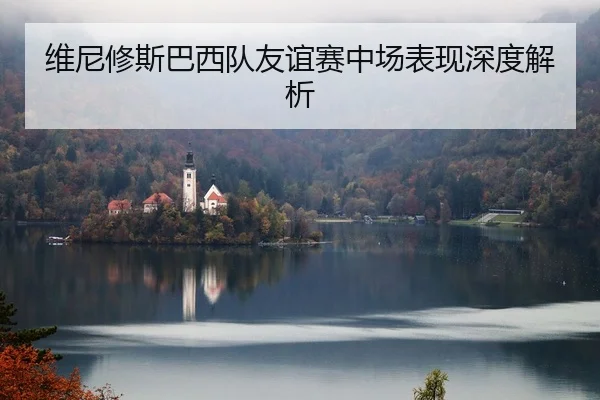 维尼修斯巴西队友谊赛中场表现深度解析